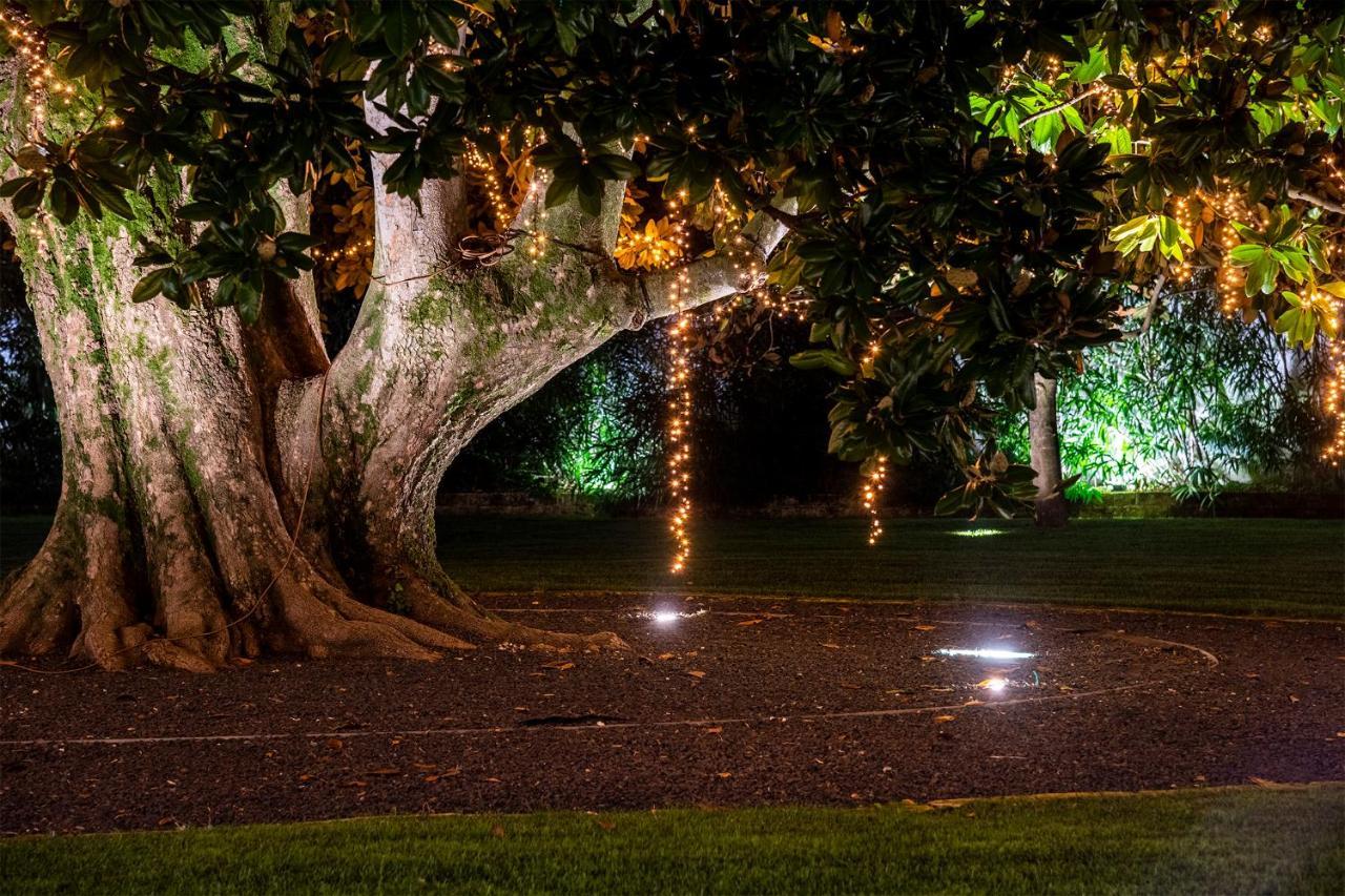 Villa I Pini マーロ エクステリア 写真